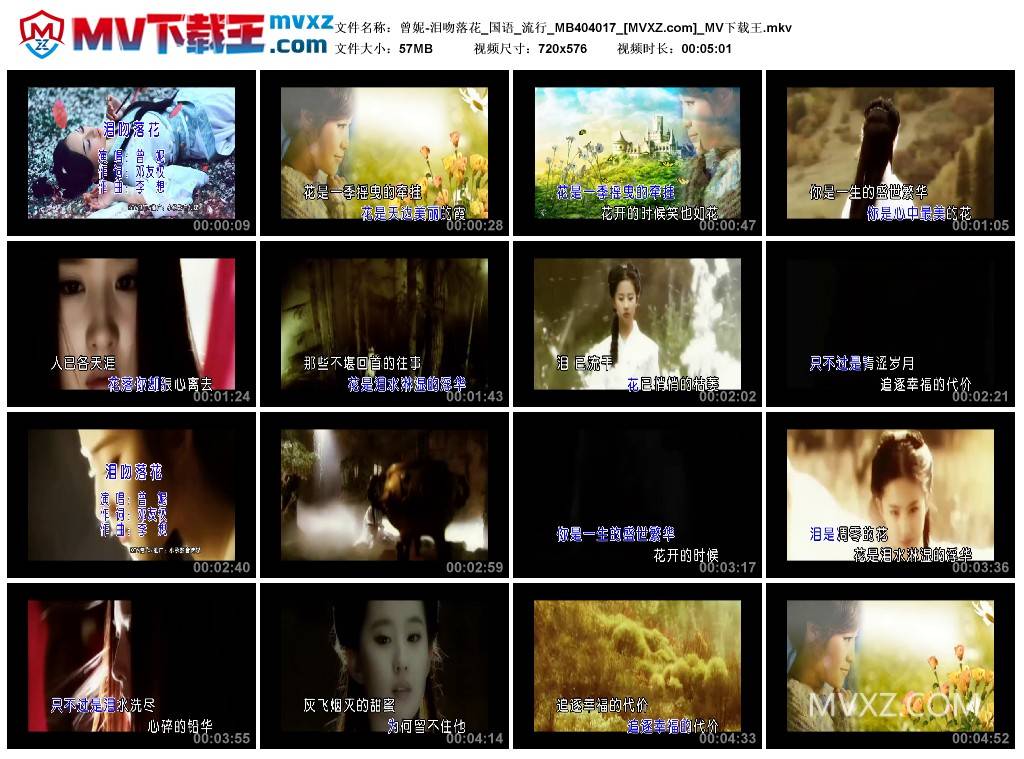 曾妮-泪吻落花_国语_流行_MB404017